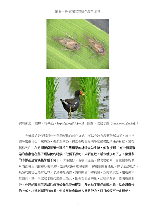 ：蘭田一夢-宜蘭友善耕作農業困境