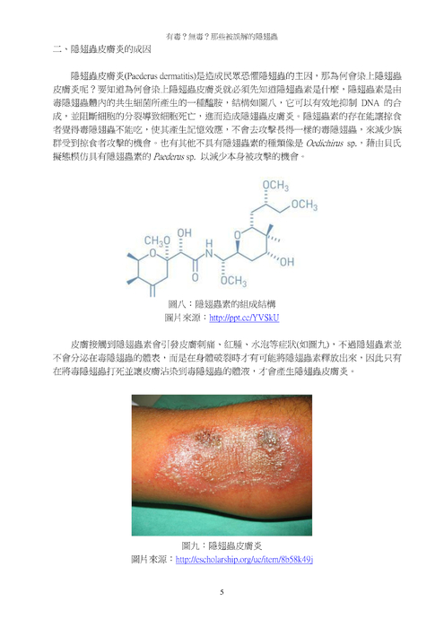 有毒？無毒？那些被誤解的隱翅蟲