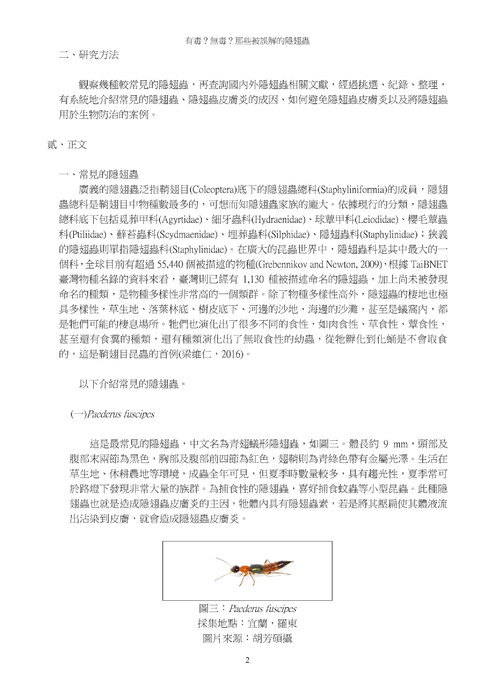 有毒?無毒?那些被誤解的隱翅蟲 有毒?無毒?那些被誤解的隱翅蟲