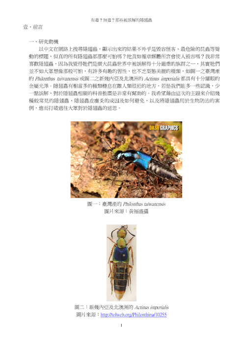 有毒？無毒？那些被誤解的隱翅蟲