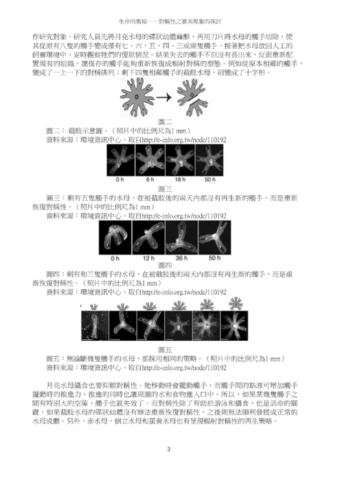 生命的奧秘—對稱性之審美現象的探討