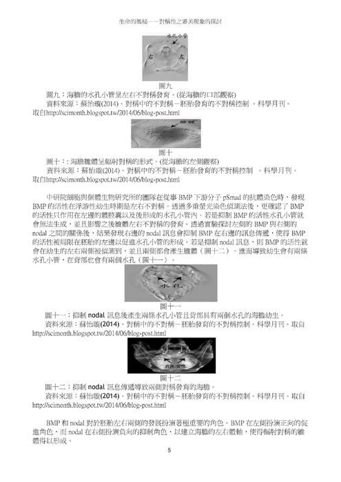生命的奧秘—對稱性之審美現象的探討 生命的奧秘—對稱性之審美現象的探討
