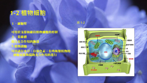電子書2
