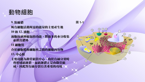 電子書2