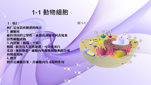 電子書2