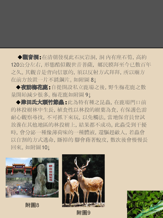 深入綠島