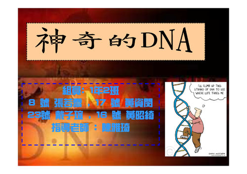 dna dna