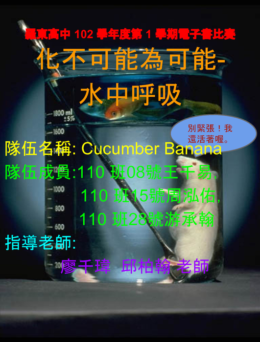 110化學 (1) 110化學 (1)
