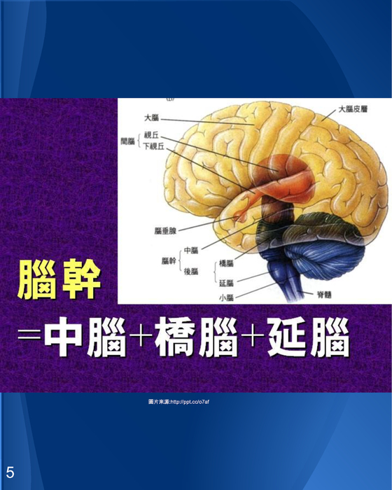 電子書 (3)