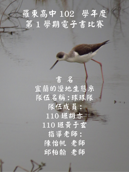 電子書110_頁面_01