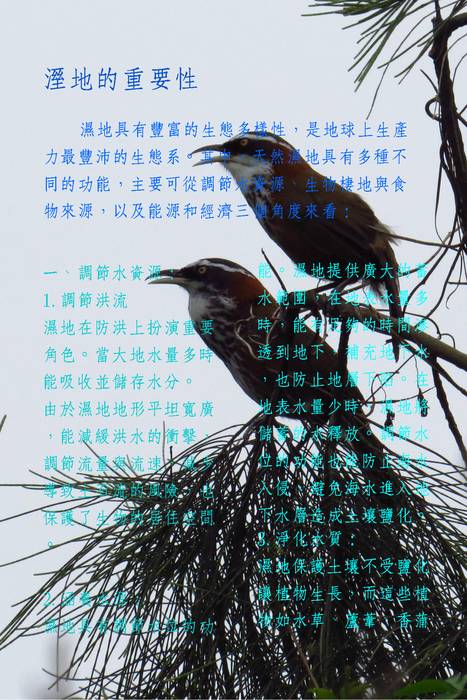 電子書110_頁面_04