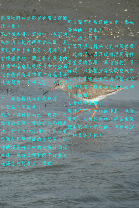 電子書110_頁面_05