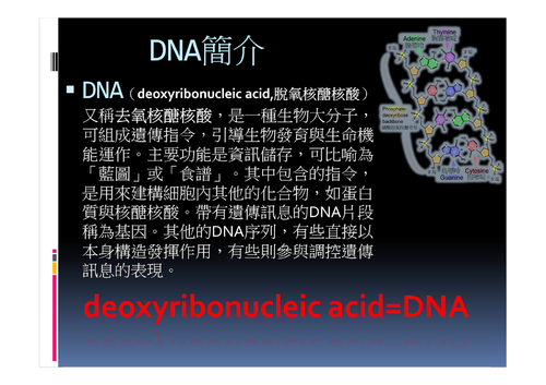 生物 2-3 dna-1