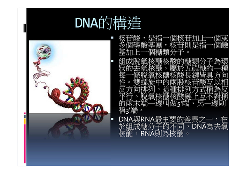 生物 2-3 dna-1