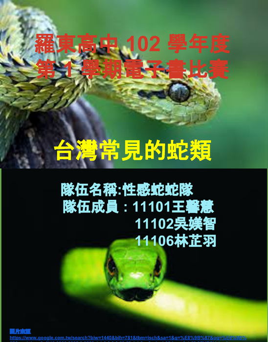 臺灣常見的蛇蛇