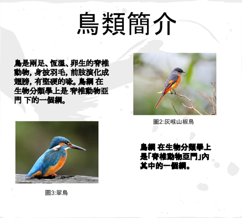 111第 11組電子書報告