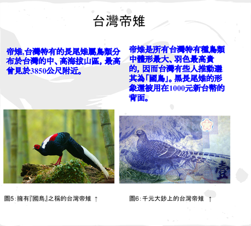 111第 11組電子書報告