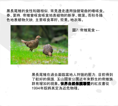 111第 11組電子書報告