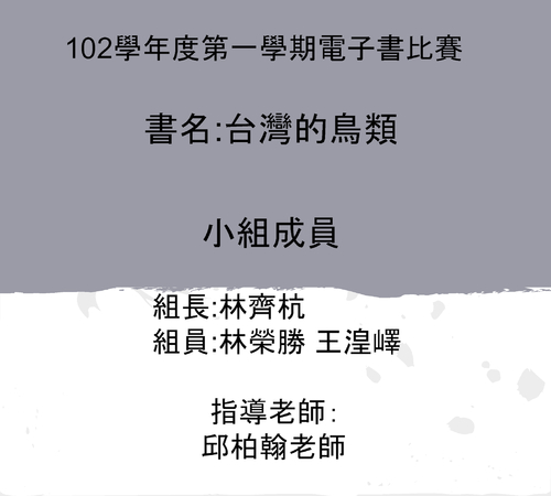 111第 11組電子書報告