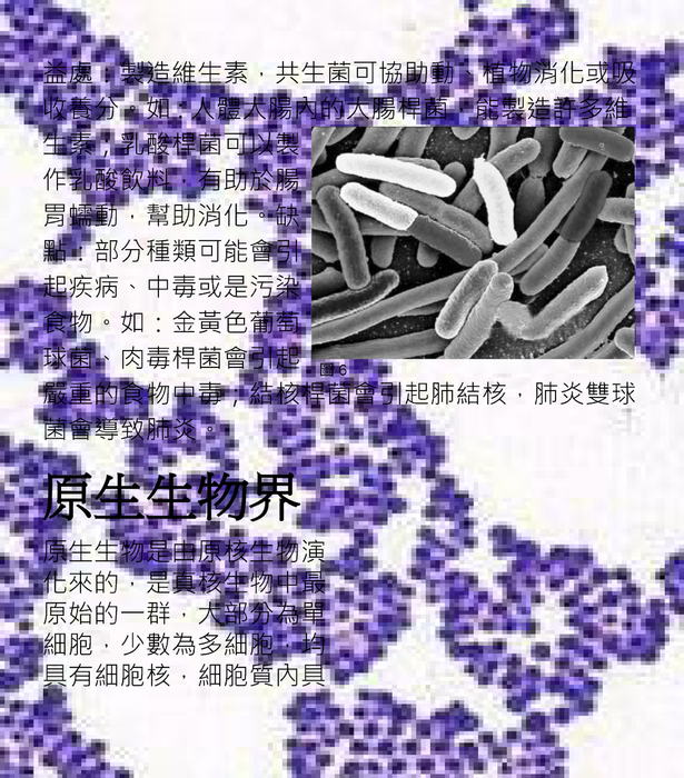 生物分類法
