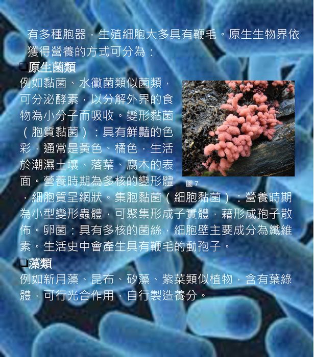 生物分類法