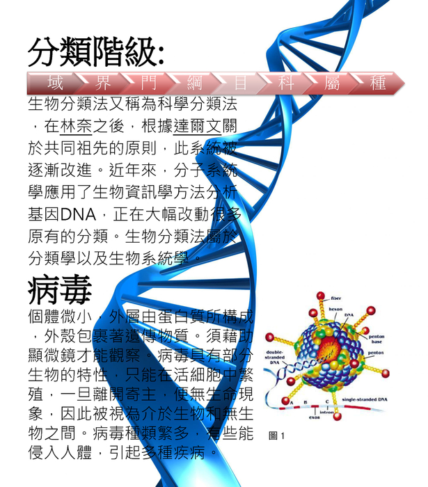 生物分類法