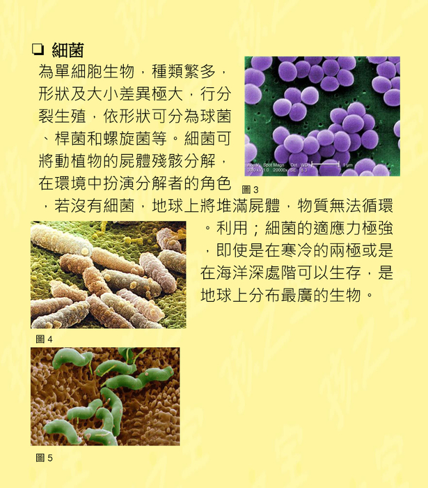 生物分類法