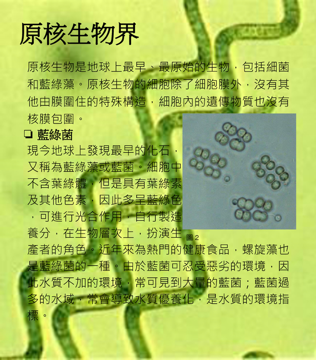 生物分類法