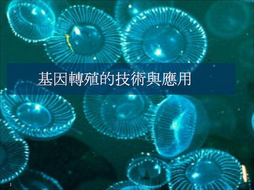 基因轉殖的技術與應用