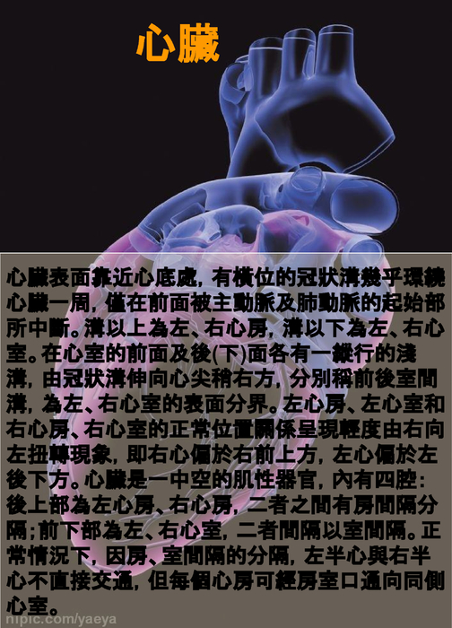 電子書