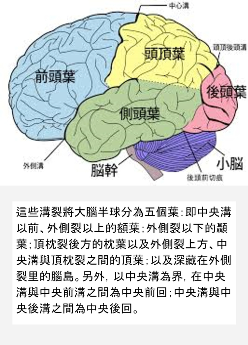 電子書
