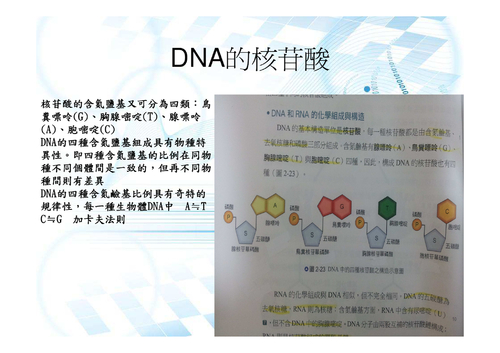 電子書（最終版）