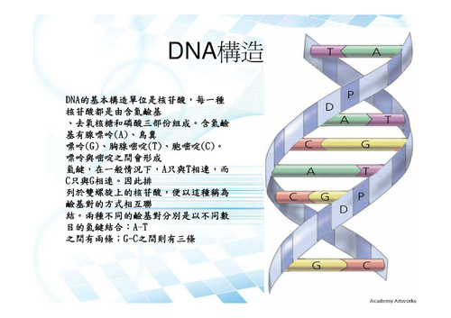 電子書（最終版）