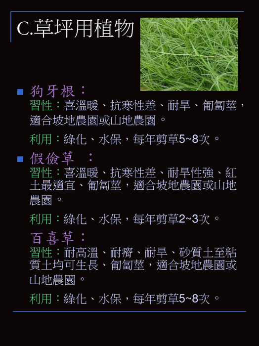 電子書