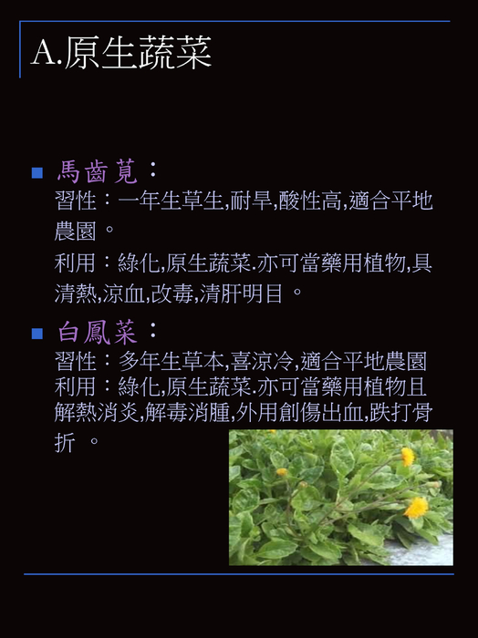 電子書