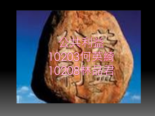 公共利益ppt (完)