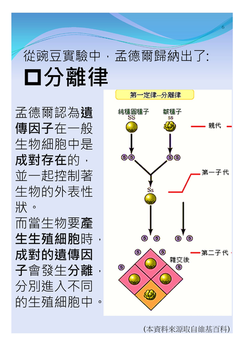 電子書比賽