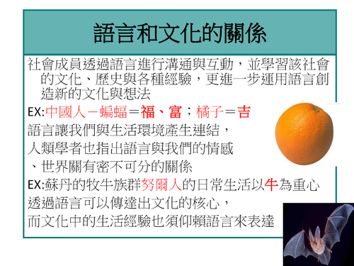精緻文化與通俗文化2003