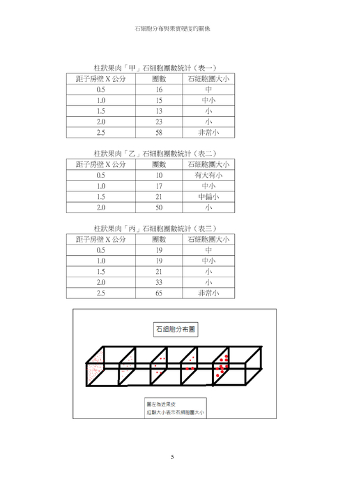 石細胞 的分布與果實硬度的關係