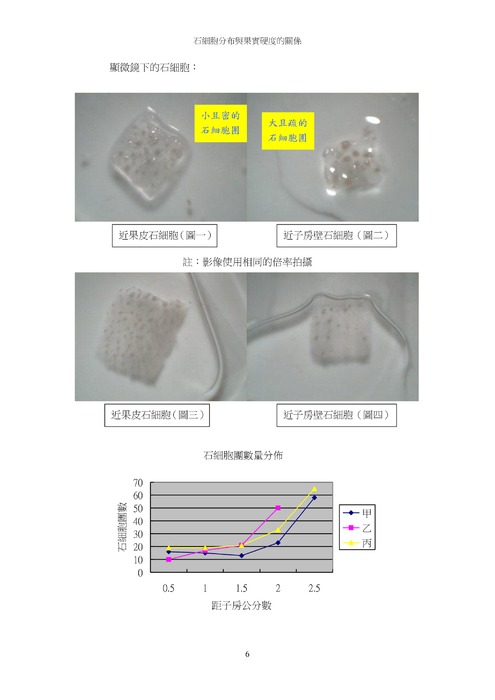 石細胞 的分布與果實硬度的關係 石細胞 的分布與果實硬度的關係