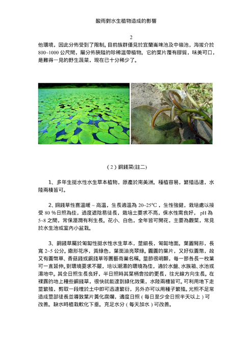 酸雨對水生植物造成的影響 酸雨對水生植物造成的影響
