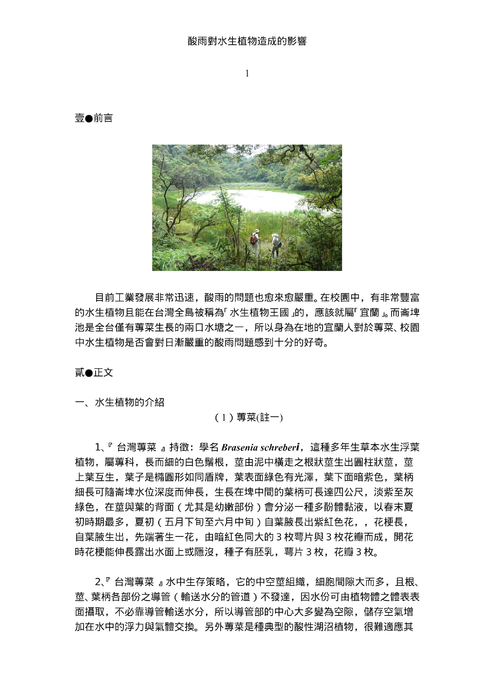 酸雨對水生植物造成的影響 酸雨對水生植物造成的影響