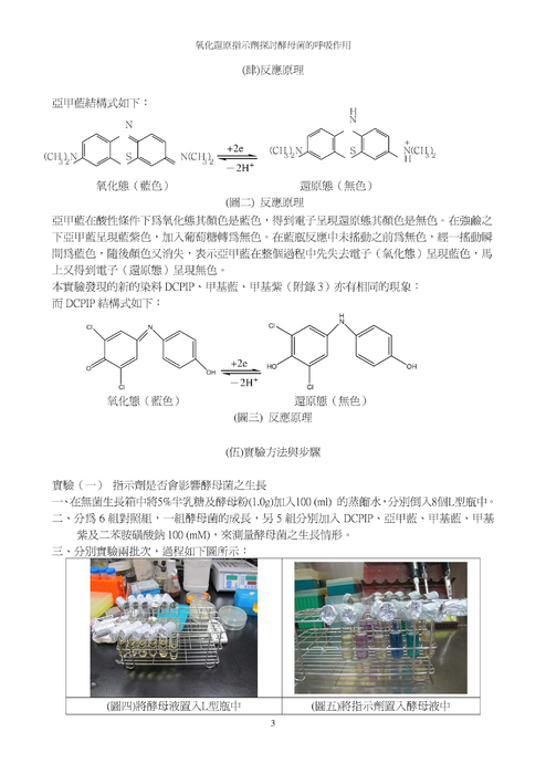 氧化還原指示劑探討酵母菌的呼吸作用