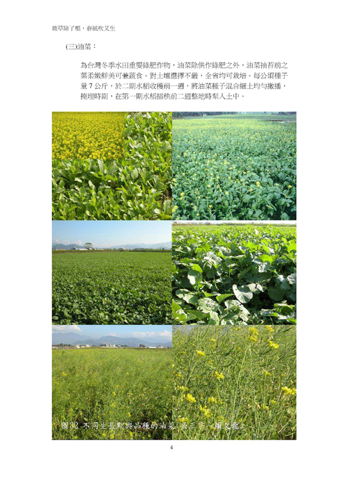雜草除了根