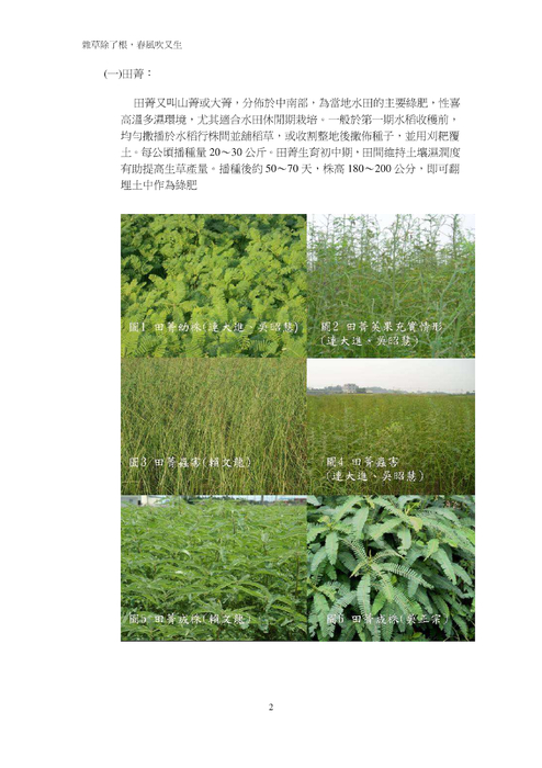 雜草除了根