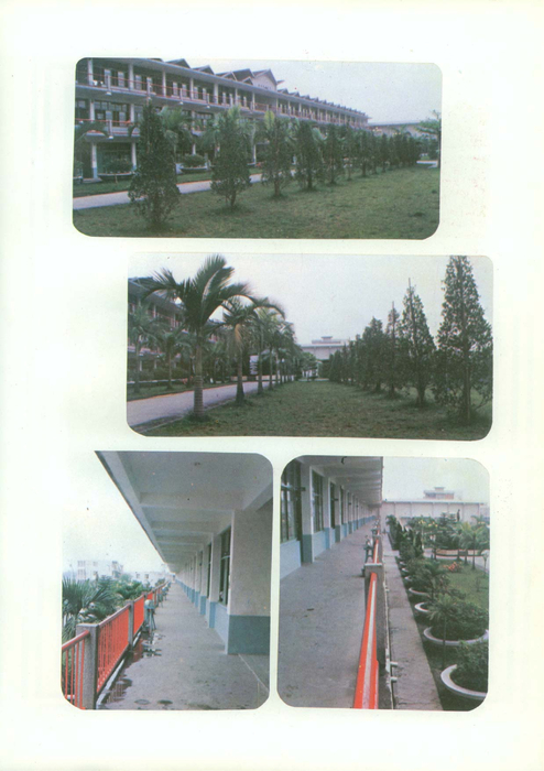 010-1 010-1