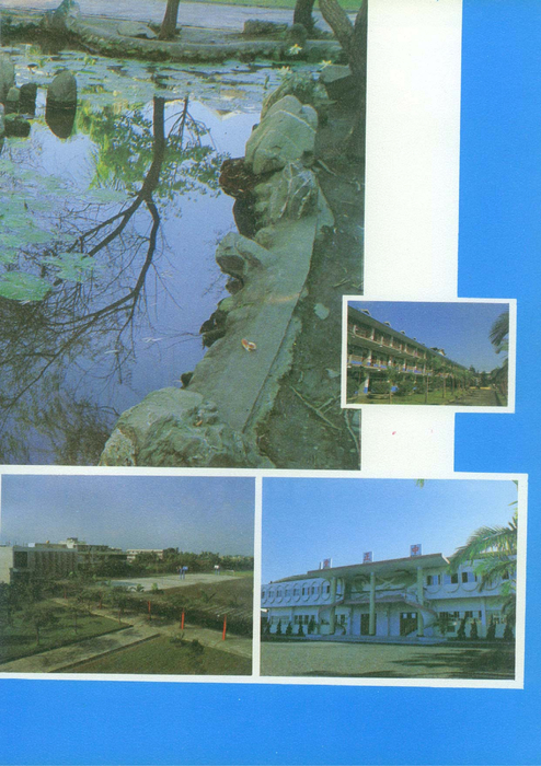 013-1