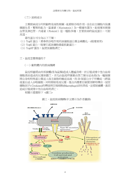 改變歷史的微生物－鼠疫桿菌