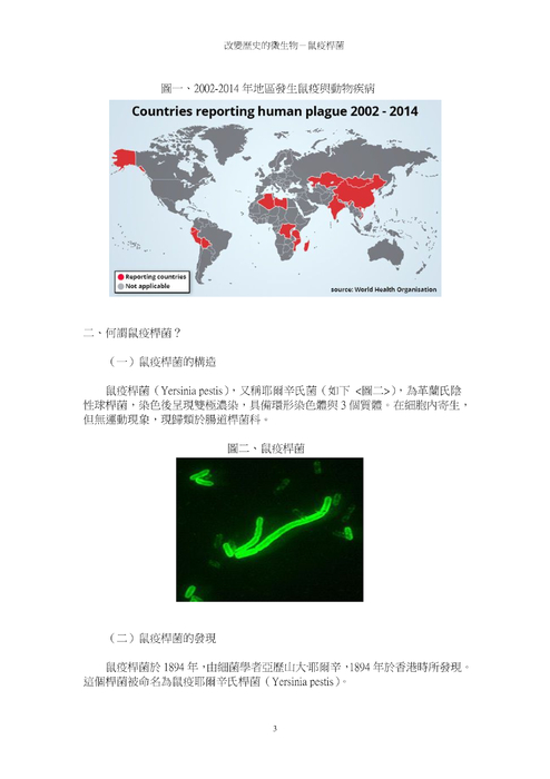 改變歷史的微生物－鼠疫桿菌