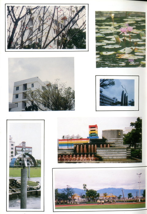 028 - (3)
